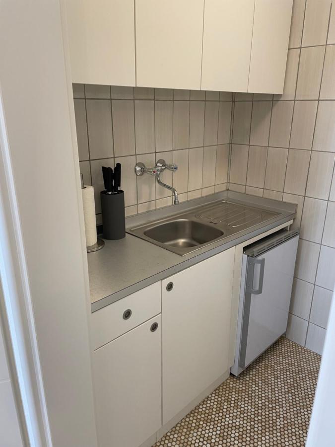 Sophie Superior Apartment Карлсруе Екстериор снимка